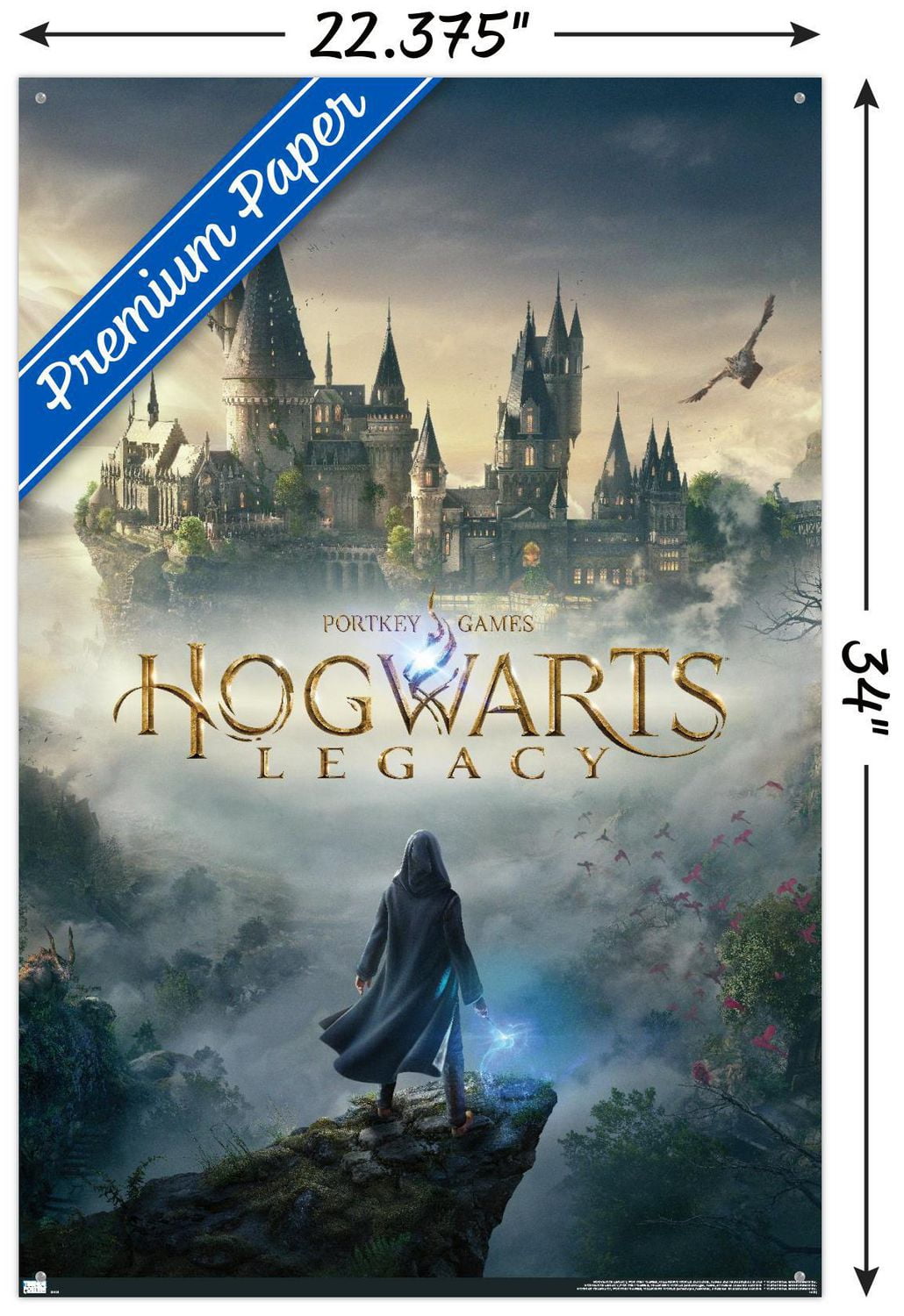 Harry Potter: Hogwarts Legacy - Key Art Wall Poster