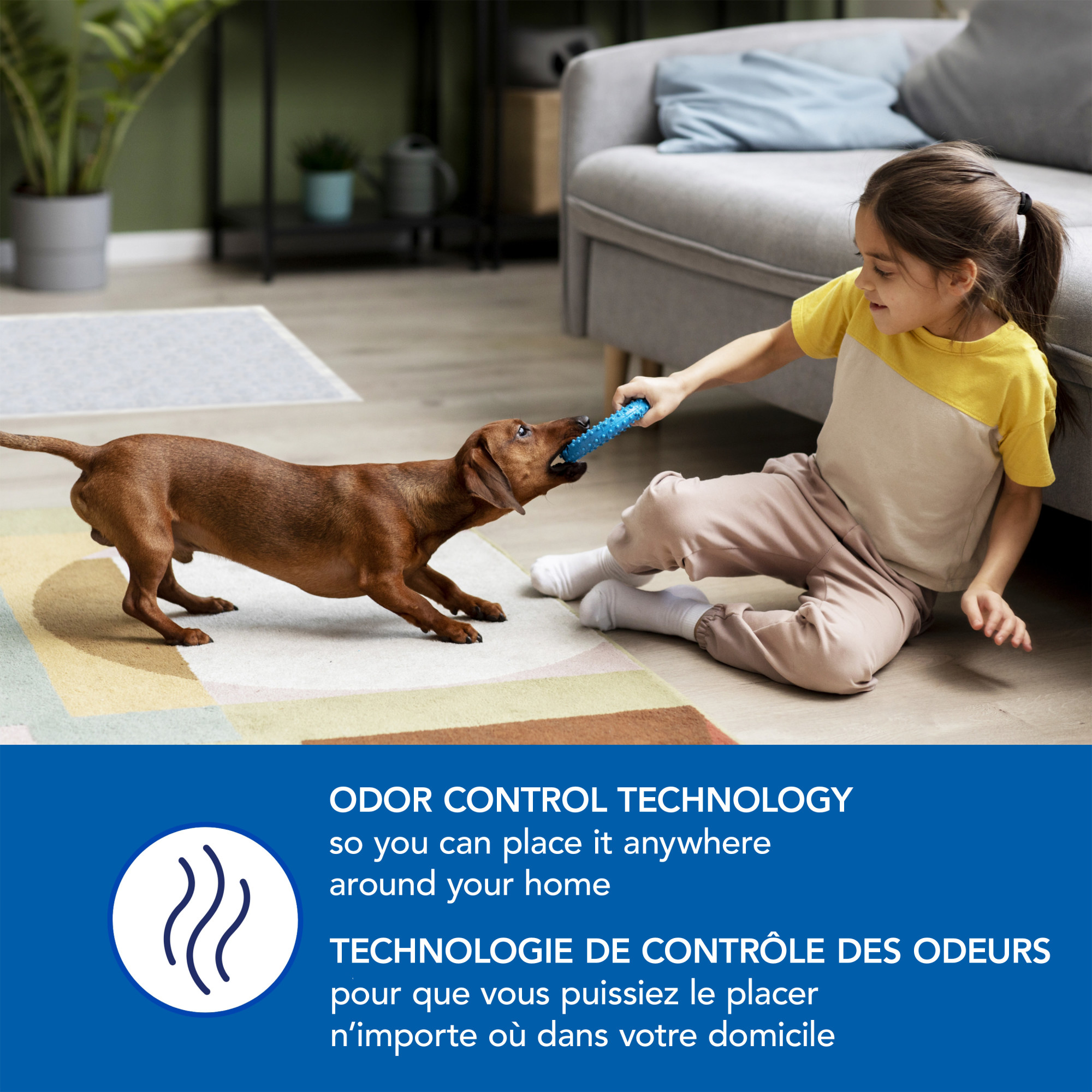 Scott Pet Guard Tapis de Propreté pour Chiens - d'Entraînement Chiots, Moyens & Grands jusqu'à 12 Heures d'Absorption et Contrôle des Odeurs Facilement Jetables Grande Taille 22 Pouces x Lot 100