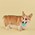 thumbnail image 3 of Playology Jumbo Knuckle Ball - Peanut Butter Scented Dog Toy, 3 of 6
