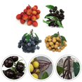 thumbnail image 5 of Artificial Fruit, Lifelike Decorative Fruits, Artificial Blueberries Simulation Lychee Longan Fake Grapes for Home Kitchen Wedding Office Party Decor, Photography Props, 5 of 5