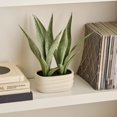 thumbnail image 2 of BOUCLAIR Plante Artificielle avec pot ovale, 2 of 6