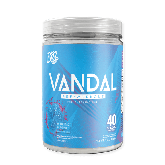 VNDL Pre Workout Powder for Men & Women- Enjoy a Clean Energy Boost with No Sugar, Featuring L-Citrulline & L-Tyrosine for Improved Endurance- Nootropic Formula in Blue Razz Gummies Flavor-40 Servings