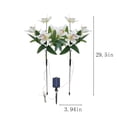 thumbnail image 2 of TIMIFIS Decorative Lights Solar Flower Lights Outdoor, Solar Flowers Garden Decorative Lights LED Stake Lights Auto On/Off Bright up to 8 Hrs Lighting & Ceiling, 2 of 5