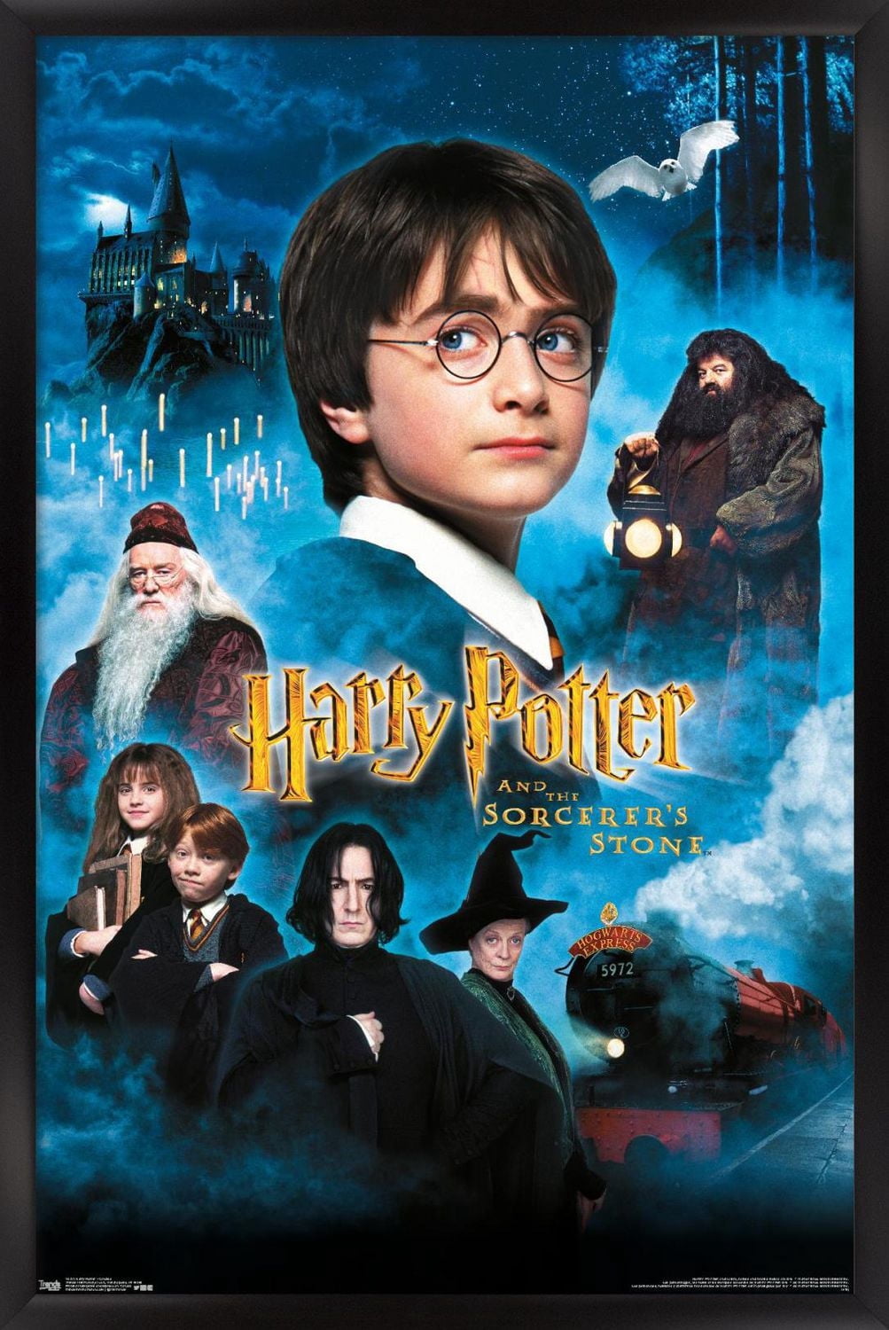 Harry Potter à l'école des sorciers - Bougies One Sheet