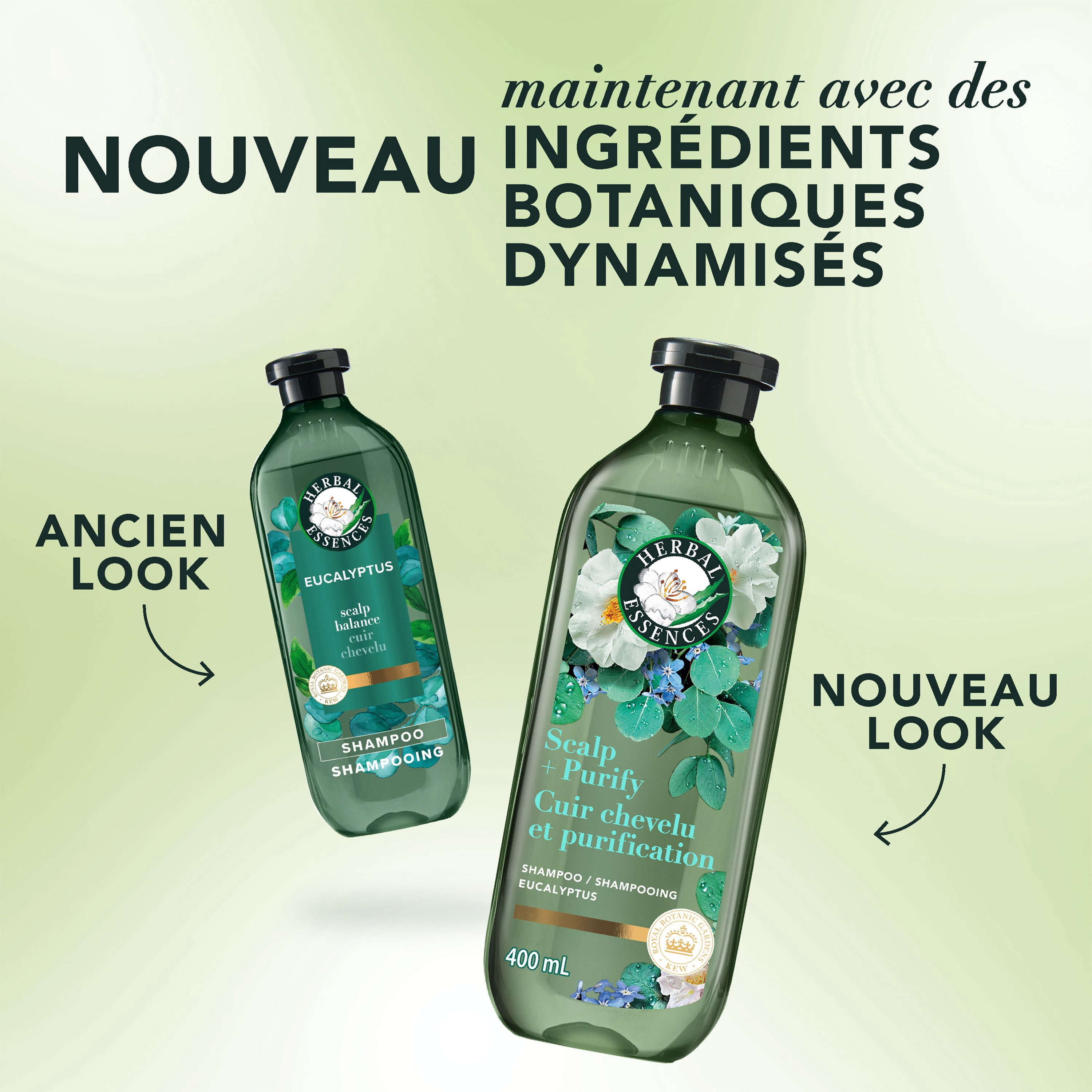 Shampooing Herbal Essences Cuir Chevelu et Purification, Nettoie Le Cuir Chevelu Pour Des Cheveux Doux, Eucalyptus, Sans Sulfate, 400 mL