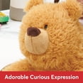 thumbnail image 3 of GUND, Ours en peluche classique Growler marron, 30,5 cm, 3 of 8