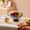 Gray #13415, variant on Clear Plastic Fruit & Vegetable Serving Tray with Detachable Drainer Base | 10.24 Inch Square Snack Plate for Home, Office, or Parties | 1 Piece