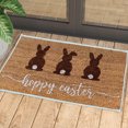 thumbnail image 1 of Yhmxh Bathroom Rugs,Rugs for Living Room,Area Rug Easter Doormat Easter Eggs Entryway Front Porch Rugs Anti-Skid Bottom Floor Indoor Outdoor Carpet for Home Patio Home Decor Crystal Velvet Carpet, 1 of 7