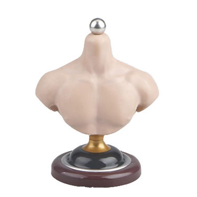 Baohd Sleek and Practical Male Female Bust Stand PVC Model for Wigs Male C 1Set