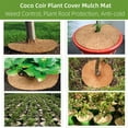 thumbnail image 4 of 4PCS Coconut Fiber Mulch Ring Tree, Plant Protector Mat, 11.81 Inch Natural Coco Coir Tree Protection Ring Plant Pot Soil Cover, Tree Rings Disc Plant Cover for Indoor Outdoor Plants, Garden Supplies, 4 of 8