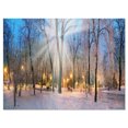 thumbnail image 2 of Winter at Mariinsky Gardens - Landscape Photography Canvas Print, 2 of 3