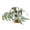 Vert Clair, variante sur Miangastore Plantes de Gecko Vert 1Pcs 6.3X6.3X4.9In