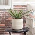 thumbnail image 2 of Better Homes & Gardens 8" Ceramic Grooved Pot-White, 2 of 6