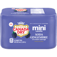 thumbnail image 4 of Canada Dry Blackberry Ginger Ale Cans, 222 mL, 6 Pack, 4 of 6