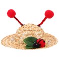 thumbnail image 1 of Small Dog Summer Straw Hat Cat Kitten Photography Prop Pet Costume Accessory, 1 of 7