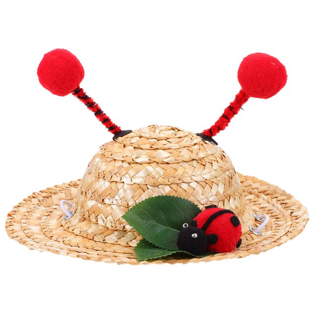 Small Dog Summer Straw Hat Cat Kitten Photography Prop Pet Costume Accessory