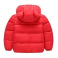 thumbnail image 2 of DPTALR Winter Children's Lamb Velvet Cotton-padded Rabbit Ears Padded Baby Cotton-padded Jacket, 2 of 3