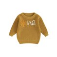 thumbnail image 1 of Faithtur Girl Baby Autumn Sweater, Flower Letter Pattern Long Sleeve Round Neck Knitwear Pullover, 1 of 9