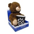 thumbnail image 2 of Way to Celebrate Plush Bear with Mug set., 2 of 3