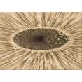 thumbnail image 1 of Ahgly Company Tapis d'Intérieur Rectangulaire Transitionnel Jaune Lavable à la Machine, 4 Pieds x 6 Pieds, 1 of 7