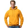thumbnail image 1 of Hanes pour Hommes ComfortBlend EcoSmart Chandail à Capuchon en Molleton, S, Or, 1 of 1