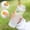 White, variant on Sports Water Bottle, EDHITNR Large Capacity 550ml Portable Shaker Cup, Leak-Proof BPA-Free Plastic Protein Shaker with Measurement Marks for Gym Outdoor, White