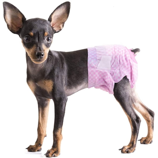 Couches Jetables pour Chien Couches pour Toutou Femelle