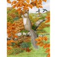 thumbnail image 1 of Carolines Treasures ASA2074CHF Drapeau Écureuil Gris en Toile Taille Maison, 1 of 4