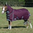 thumbnail image 4 of WeatherBeeta ComFiTec Plus Dynamic II Detach-A-Neck Medium Maroon/Grey/White 57"", 4 of 5