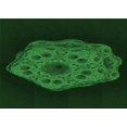 thumbnail image 1 of Ahgly Company Machine Washable Indoor Rectangle Transitional Green Area Rugs, 6' x 9', 1 of 7