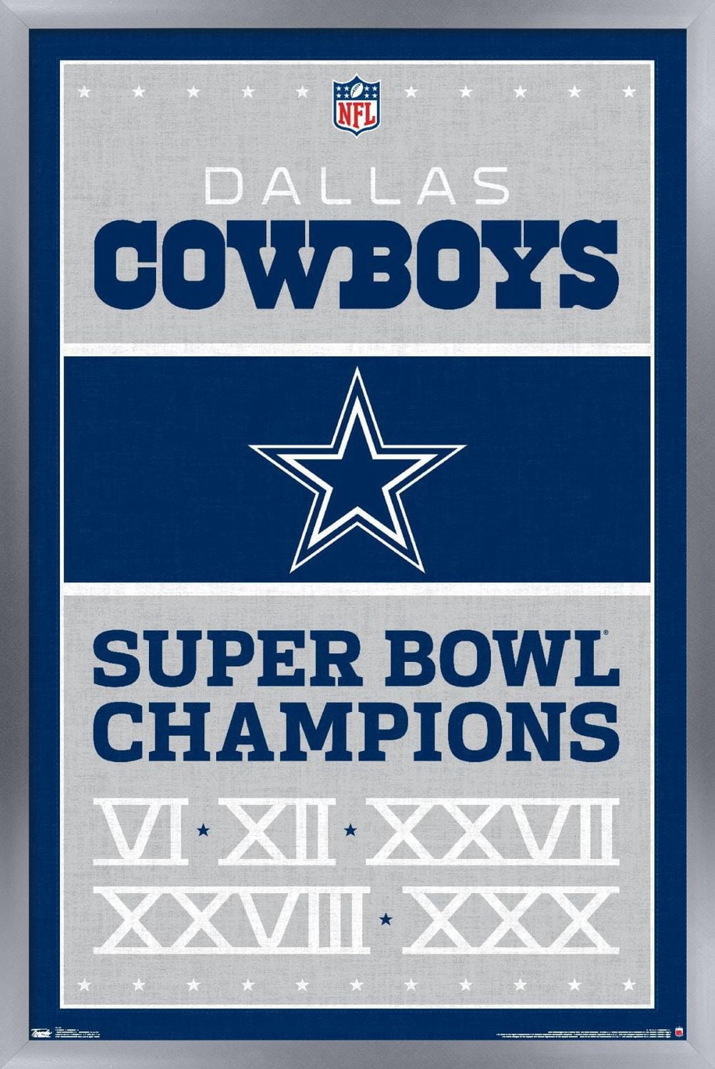 Cowboys de Dallas la NFL
