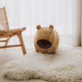 thumbnail image 4 of Wild & Soft Soft Bouncy Inflatable Animal Plush Toy - Capybara, 4 of 5