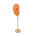 thumbnail image 4 of Earring Display Stand Human Ear Stud Showcase Model Stud Holder Showcase Jewelry Organizer Right Normal Skin, 4 of 9