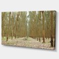 thumbnail image 2 of Rubber Trees Row in Thailand - Modern Forest Canvas Art, 2 of 3