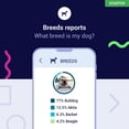thumbnail image 4 of Koko Genetics Dog DNA Test | Starter Range | Breeds & Traits Reports | Fees Included, 4 of 10