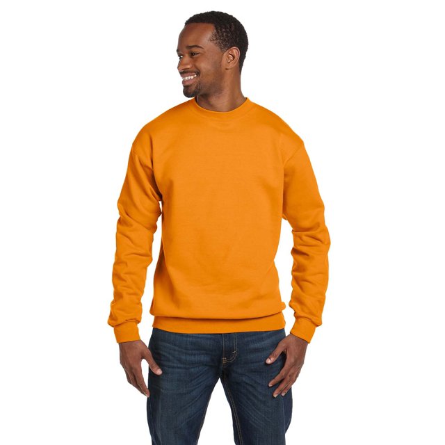 Hanes Adulte 7.8 oz. EcoSmart 50/50 Molleton - P1607