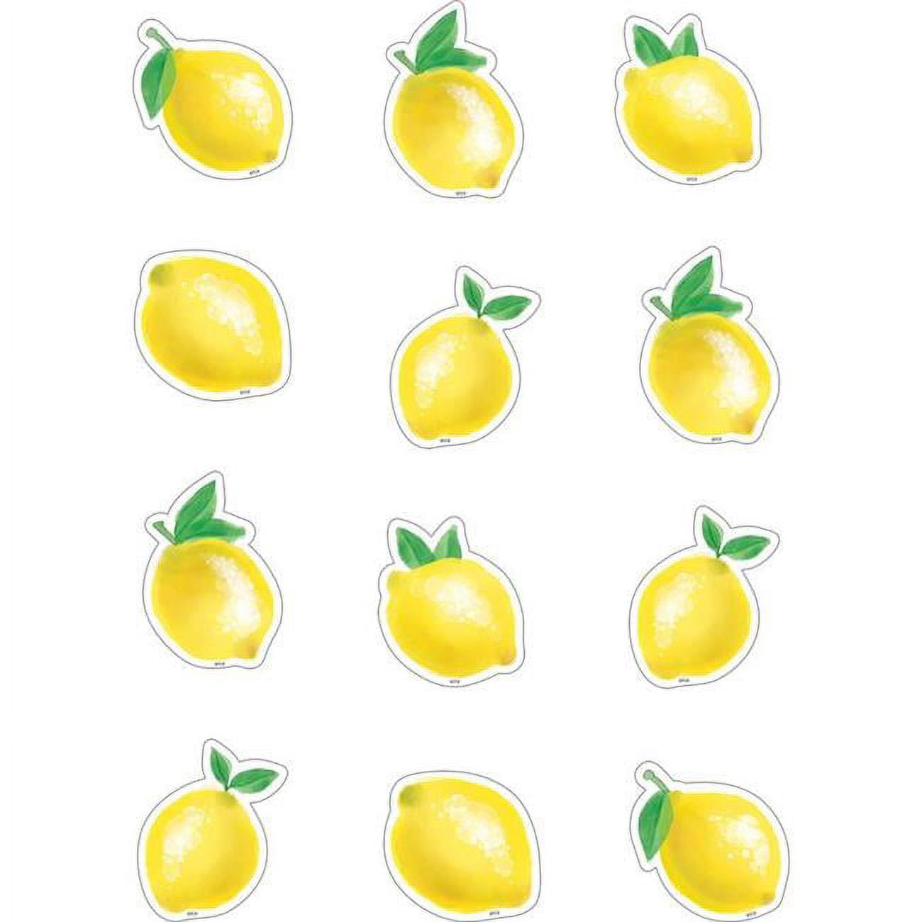 Teacher Created Resources TCR8481 Lemon Zest Mini Accents