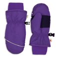 thumbnail image 1 of Hot Paws Toddler's Ski Mitt 2-3Y, 1 of 1