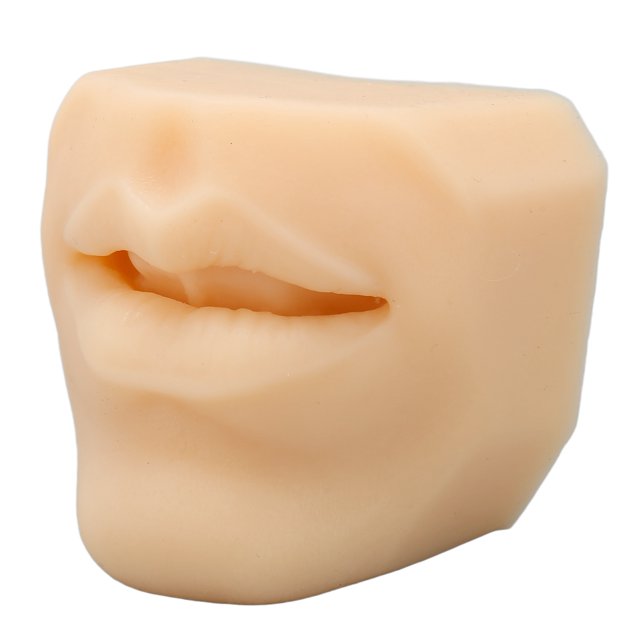 Modèle de Bouche de Simulation, Format Portable Réutilisable en Silicone Souple Modèle de Bouche Humaine pour l'Enseignement de l'Acupuncture