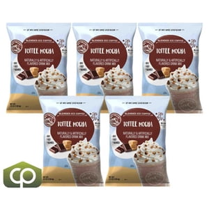 Big Train 3.5 lb. Mélange de café à glace mélangée de caramel Mocha – Frappe premium & Base de café spécialisée, 5/Case (17.5 Total des dépenses