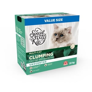 Special Kitty Clumping Litter chat fraichement parfumée avec du soda au four 22 kg Boîte