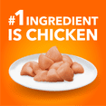thumbnail image 4 of IAMS PROACTIVE HEALTH Healthy Adult Dry Cat Food With Chicken, 3.18kg Bag, 4 of 15