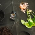 thumbnail image 4 of Pro-Mix® Stim-Root®, 4 of 5