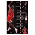 thumbnail image 1 of Michael Jordan - Timeline Wall Poster, 22.375" x 34" Framed, 1 of 4