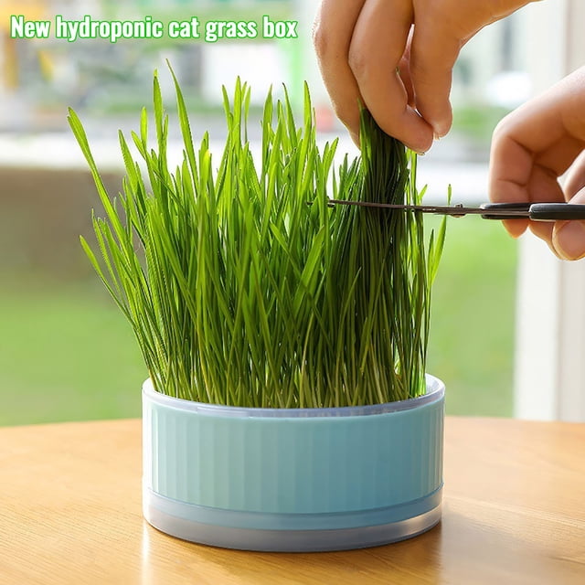 Hydroponic Seed Starting Tray Indoor Plant Growing Kit Plastic Propagation Container Reusable Germination Tray for Microgreens Wheatgrass Kitchen Garden Balcony Home Office Use Single Unit