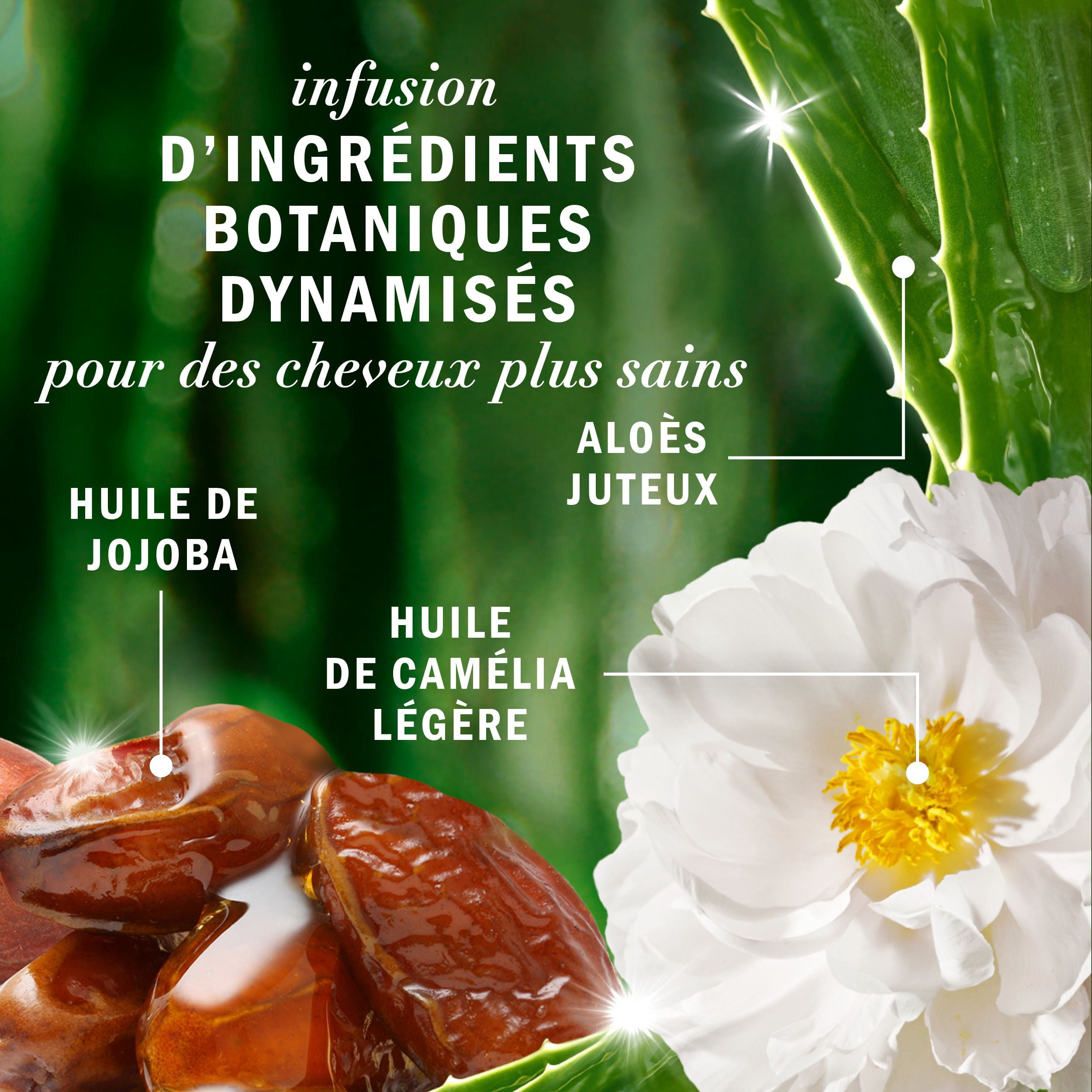Shampooing sans sulfate Herbal Essences Éclat et douceur à l’huile de jojoba, 400 mL