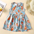 thumbnail image 1 of LOVZFMLL Girls' Summer Sleeveless Printed Round-Neck Embroidery Mesh Princess Bow Skirt, 1 of 3