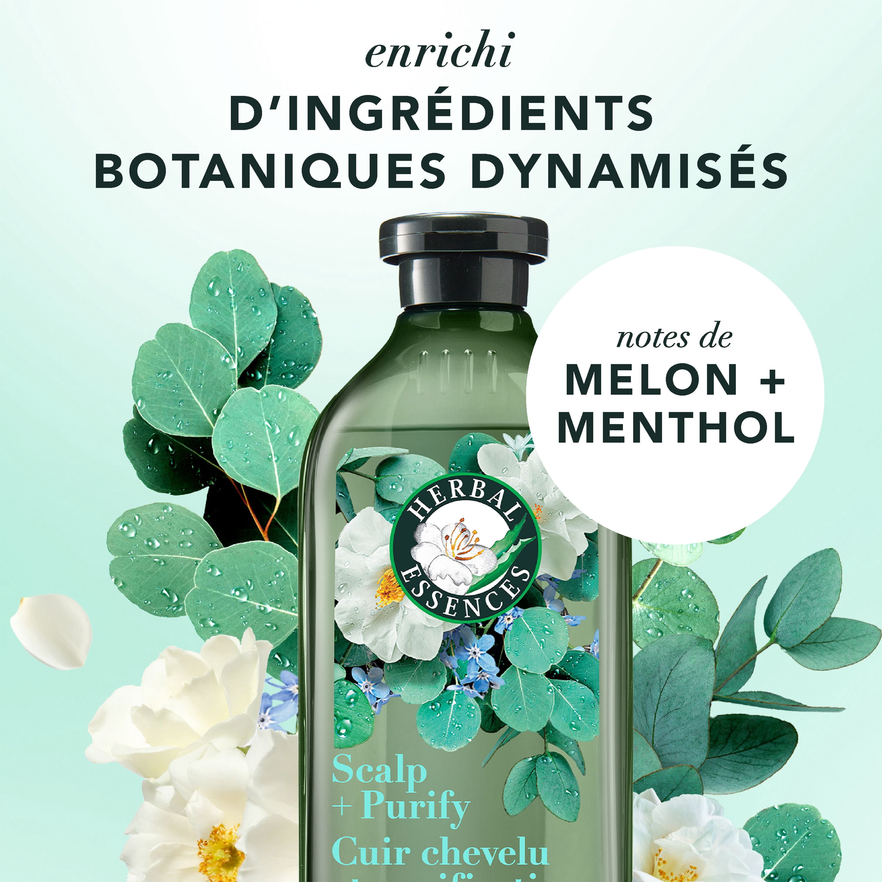Shampooing Herbal Essences Cuir Chevelu et Purification, Nettoie Le Cuir Chevelu Pour Des Cheveux Doux, Eucalyptus, Sans Sulfate, 400 mL
