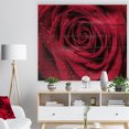 thumbnail image 3 of Design Art - Pétales de Rose Rouges avec Gouttes de Pluie, 3 of 5