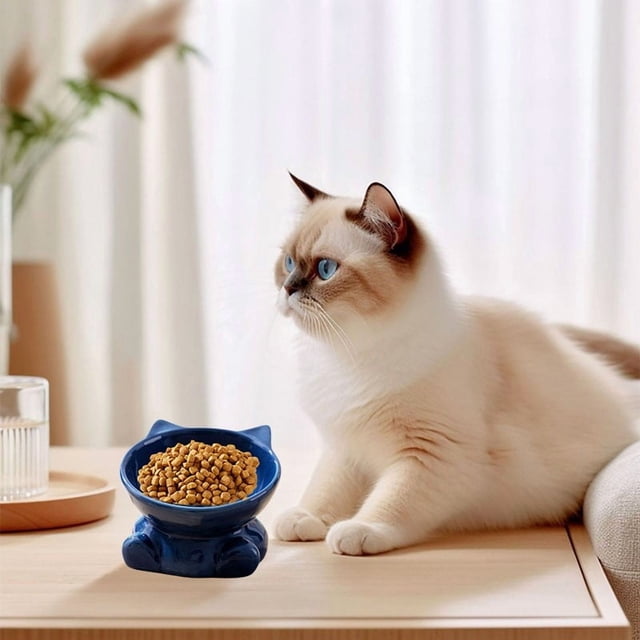 Ceramic Cat and Dog Food Dish with Slanted Design for Stable Non-Tip Feeding and Drinking